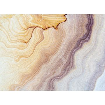 Digitaldruck-Tapete Marble Waves livingwalls (1031983)