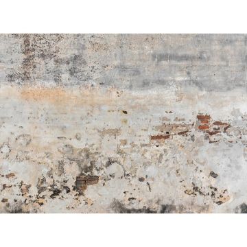 Digitaldruck-Tapete Old Wall livingwalls (1031989)