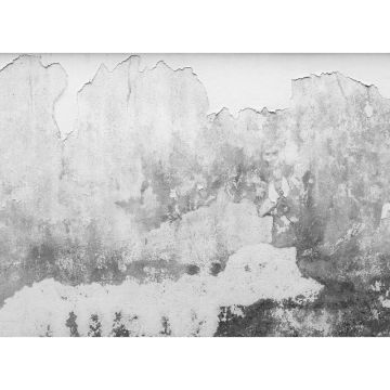 Digitaldruck-Tapete Brittle Wall livingwalls (1031990)