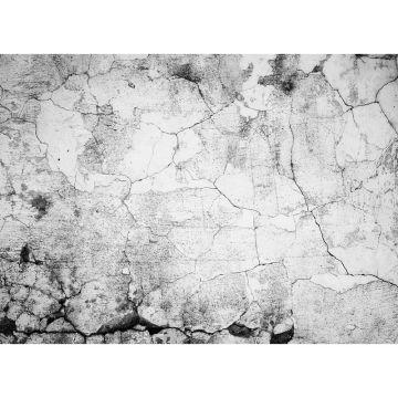 Digitaldruck-Tapete Cement Crack livingwalls (1031991)
