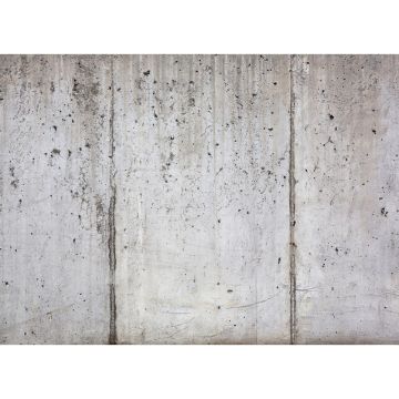 Digitaldruck-Tapete Concrete Wall livingwalls (1032002)
