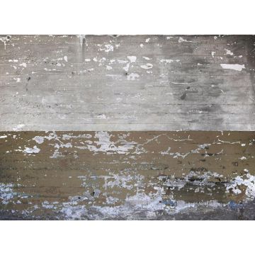 Digitaldruck-Tapete Concrete Coated livingwalls (1032004)