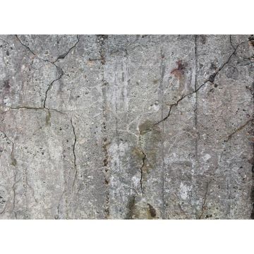 Digitaldruck-Tapete Old Concrete livingwalls (1032007)