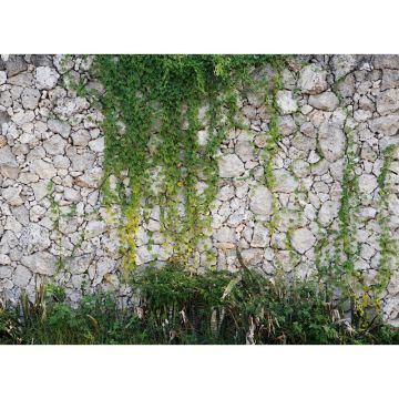 Digitaldruck-Tapete Stone wall livingwalls (1032009)