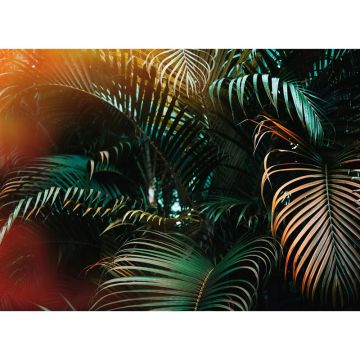 Digitaldruck-Tapete Jungle Colour livingwalls (1032011)