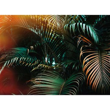 Digitaldruck-Tapete Jungle Colour livingwalls (1032011)