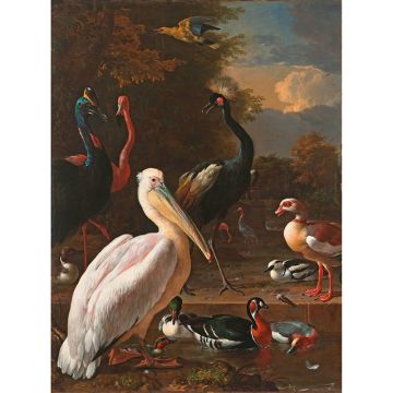 Digitaldruck-Tapete Menagerie AS-Creation (1033670)