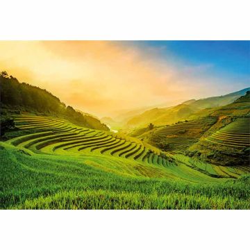 Digitaldruck-Tapete Terraced Rice Field In Vietnam livingwalls (1033861)