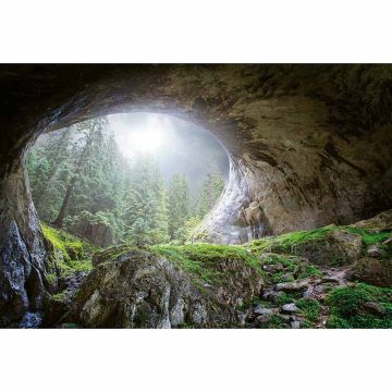 Digitaldruck-Tapete Cave In The Forest livingwalls (1033883)