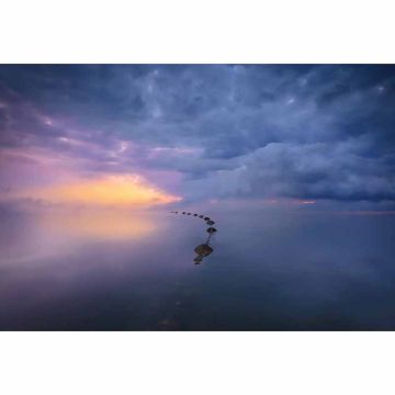 Digitaldruck-Tapete Wetland Sunrise livingwalls (1033893)
