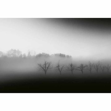 Digitaldruck-Tapete Foggy Landscape livingwalls (1033896)