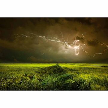 Digitaldruck-Tapete Lightning and Thunder livingwalls (1033897)