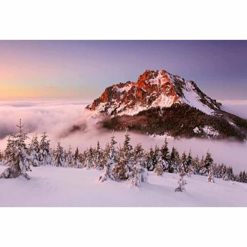Digitaldruck-Tapete Snowy Mountain Peak livingwalls (1033915)
