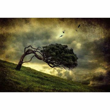 Digitaldruck-Tapete Scary Vintage Tree livingwalls (1033931)