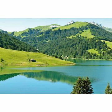 Digitaldruck-Tapete Swiss Mountain Lake Launensee Gstaad livingwalls (1033935)