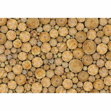Digitaldruck-Tapete Logs livingwalls (1033938)