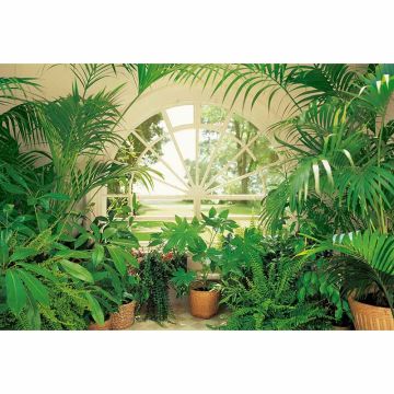 Digitaldruck-Tapete Wintergarden livingwalls (1033966)