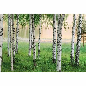 Digitaldruck-Tapete Nordic Forest livingwalls (1033970)