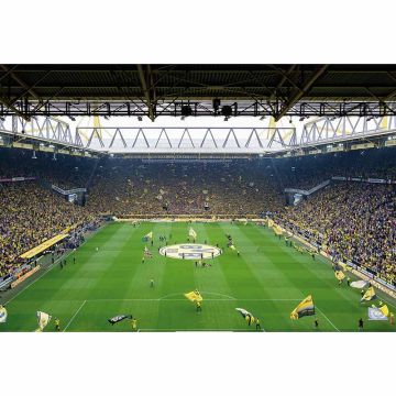 Digitaldruck-Tapete BVB Fan Choreo livingwalls (1033974)