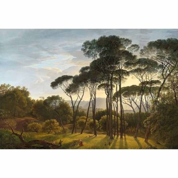Digitaldruck-Tapete Italian Landscape with Umbrella Pines livingwalls (1033981)