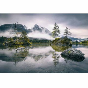 Digitaldruck-Tapete Foggy Day livingwalls (1033986)
