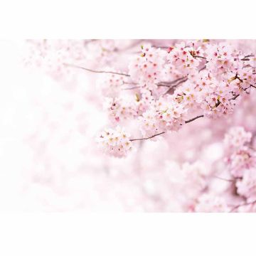 Digitaldruck-Tapete Delicate Flowers livingwalls (1033991)