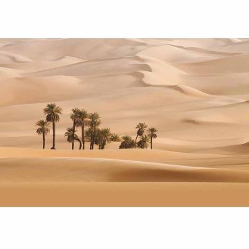 Digitaldruck-Tapete Dune livingwalls (1034001)