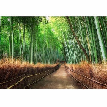 Digitaldruck-Tapete Bamboo Grove Kyoto livingwalls (1034003)