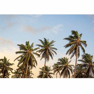 Digitaldruck-Tapete Take me to Ibiza livingwalls (1034004)