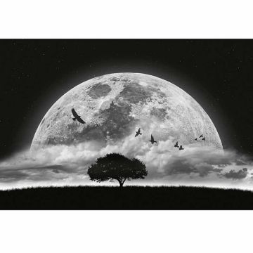 Digitaldruck-Tapete Moon and Birds livingwalls (1034007)