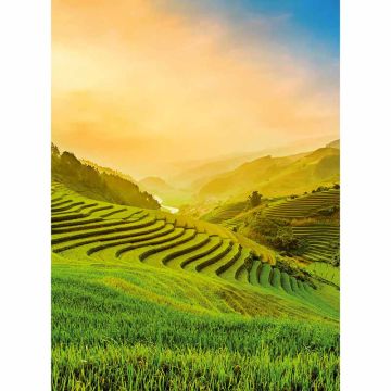 Digitaldruck-Tapete Terraced Rice Field In Vietnam livingwalls (1034022)