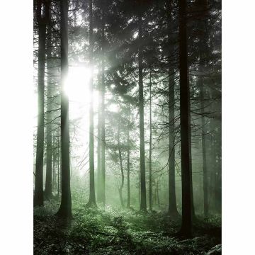Digitaldruck-Tapete Sun Rays livingwalls (1034054)