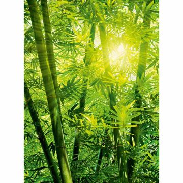 Digitaldruck-Tapete Bamboo Forest livingwalls (1034058)