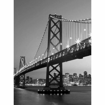Digitaldruck-Tapete San Francisco Skyline livingwalls (1034061)