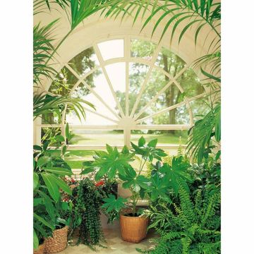 Digitaldruck-Tapete Wintergarden livingwalls (1034073)