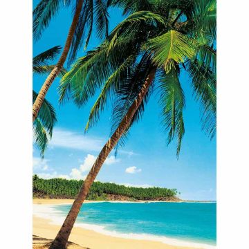 Digitaldruck-Tapete Ile Tropicale livingwalls (1034074)