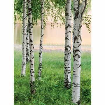 Digitaldruck-Tapete Nordic Forest livingwalls (1034077)