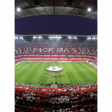 Digitaldruck-Tapete FCB Stadion Choreo livingwalls (1034079)