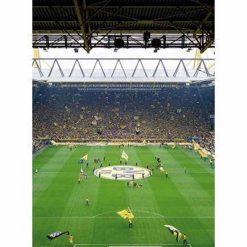 Digitaldruck-Tapete BVB Fan Choreo livingwalls (1034081)