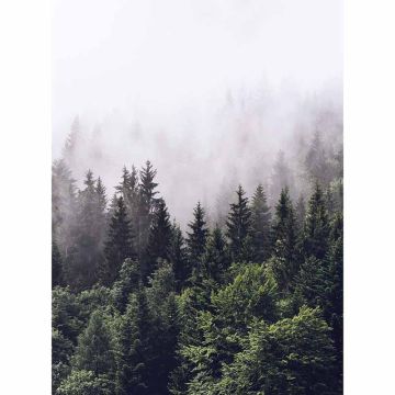 Digitaldruck-Tapete Foggy Forest  livingwalls (1034086)