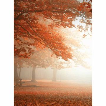 Digitaldruck-Tapete Sleeping Forest livingwalls (1034091)