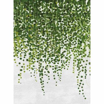 Digitaldruck-Tapete Hanging Plants livingwalls (1034095)