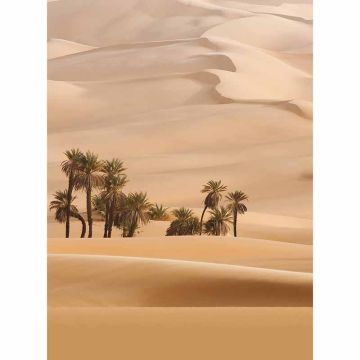 Digitaldruck-Tapete Dune livingwalls (1034110)
