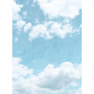 Digitaldruck-Tapete Grunge Sky livingwalls (1034115)