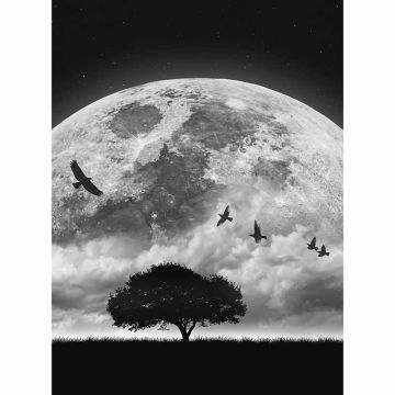 Digitaldruck-Tapete Moon and Birds livingwalls (1034116)