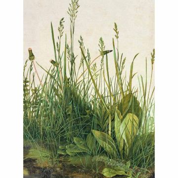 Digitaldruck-Tapete Great Piece of Turf livingwalls (1034122)