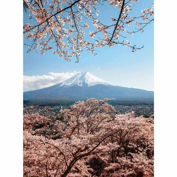 Digitaldruck-Tapete Mount Fuji in Japan livingwalls (1034134)