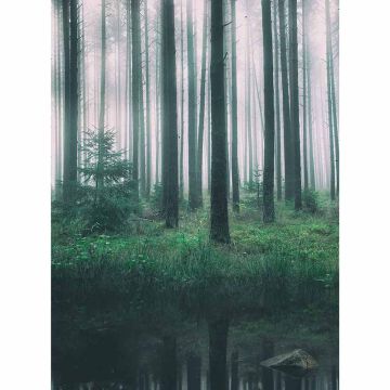 Digitaldruck-Tapete In the Woods livingwalls (1034136)