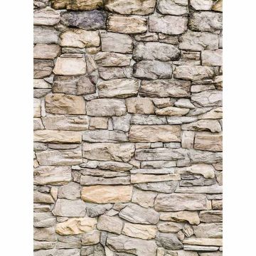 Digitaldruck-Tapete Stone Wall II livingwalls (1034139)