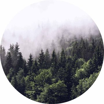 Digitaldruck-Tapete Foggy Forest  livingwalls (1034145)